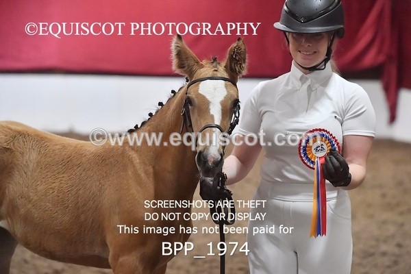 BPP_1974 - AFTERNOON 12.30 - 3.30PM