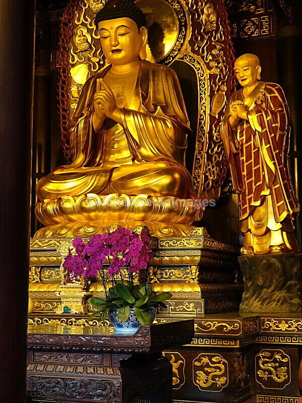 CHINA__0962 - China 2019