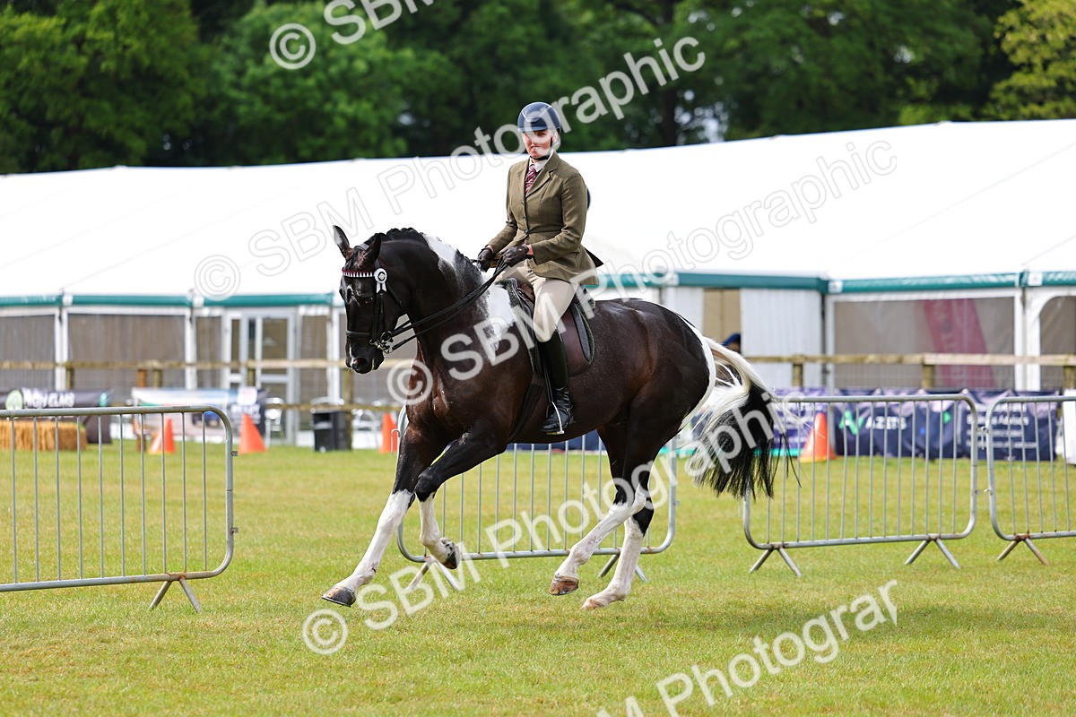 SBM_02515 - Class 9-11 Side Saddle including LIHS Rising Star Ladies Show Horse