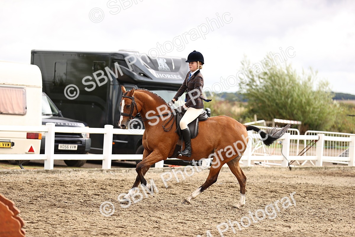 SBM_00590 - Class 53 - Ridden Competition Horse Pony