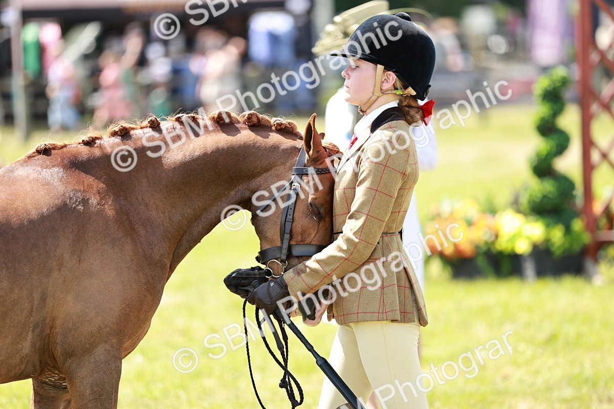 SBM_15685 - Class 108-109 - BSPS LIHS Open Gradle & Nursery Stakes