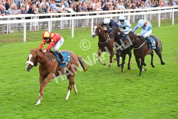 yr04092022r3-32 - Race 3 2.55pm The Elevator Company Garrowby Stakes