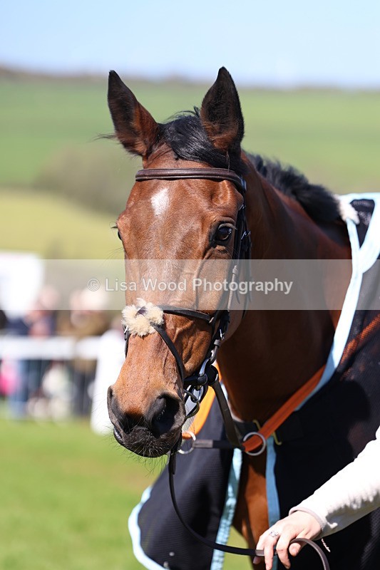 3E7A5279 - Race 4:  Maiden