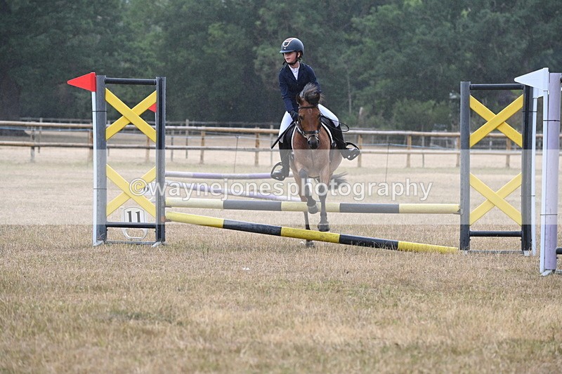 WJ6_0014 - Class 13 Novice Jumping 60cm