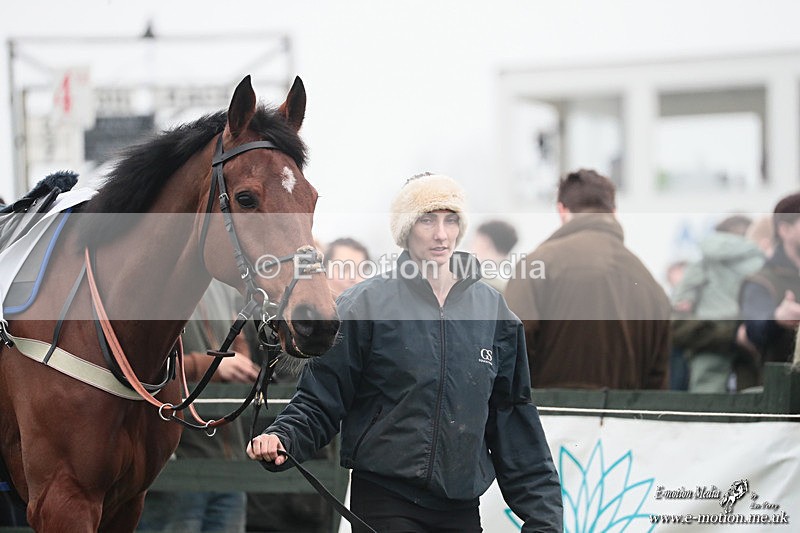 PtP 080326 429 - Pytchley with Woodland Point-to-Point Guilsborough 08/03/26