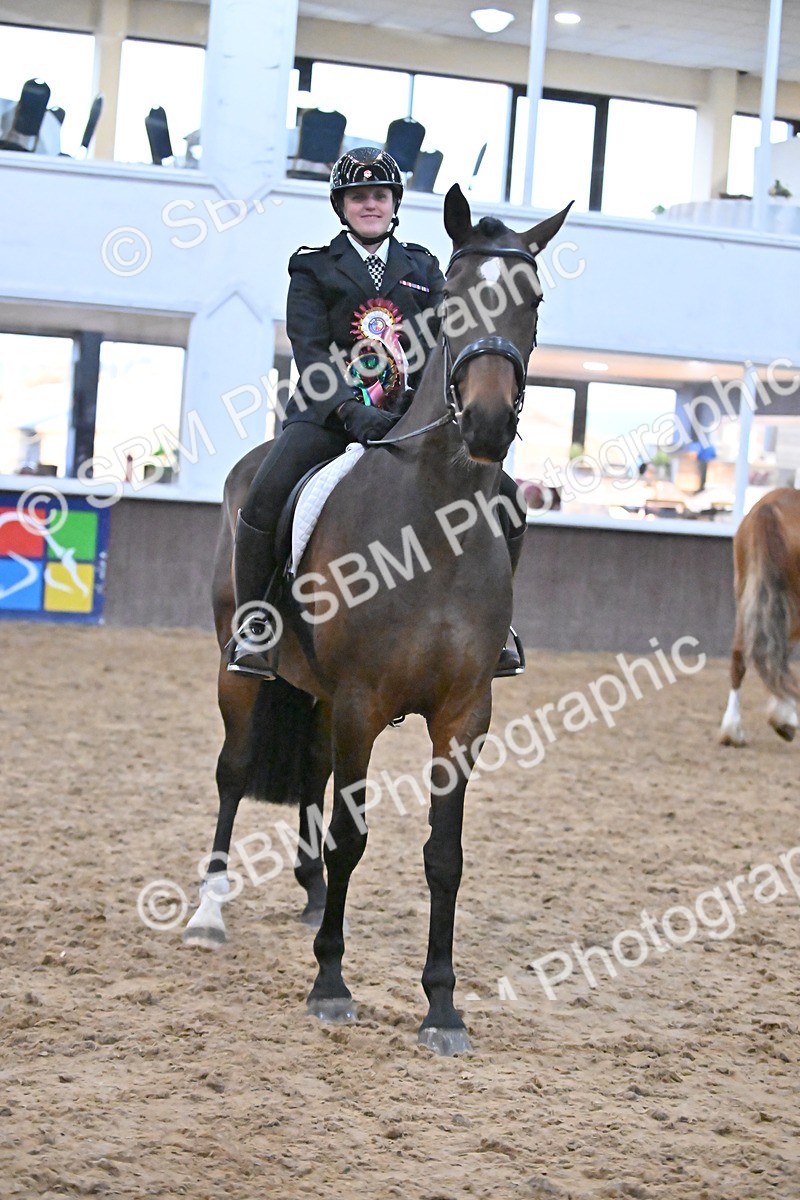 SBM_003056 - Class 37,38 - UKPSAF Performance Horse & Pony