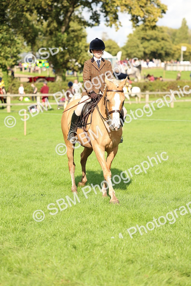 SBM_50072 - S34 - Novice & Newcomers Working Hunter