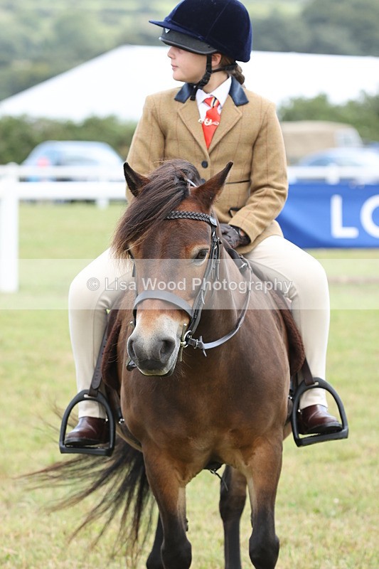 JPP_1911 - Class 18: Tiny Tots Working Hunter Pony