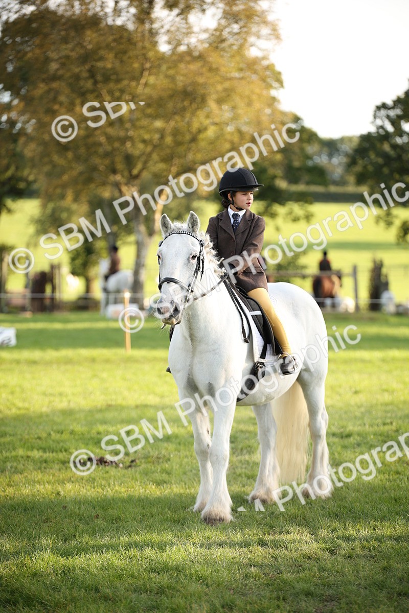 SBM_54419 - S27 - Mature Veteran - Ridden