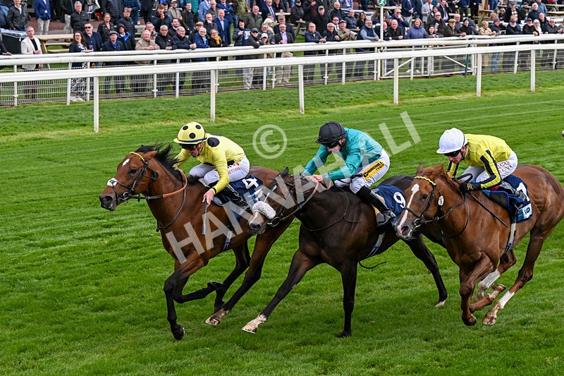 140526-Race 6-Dickensian-0347 - Race 6 4.40pm British Stallion Studs EBF Westow Stakes