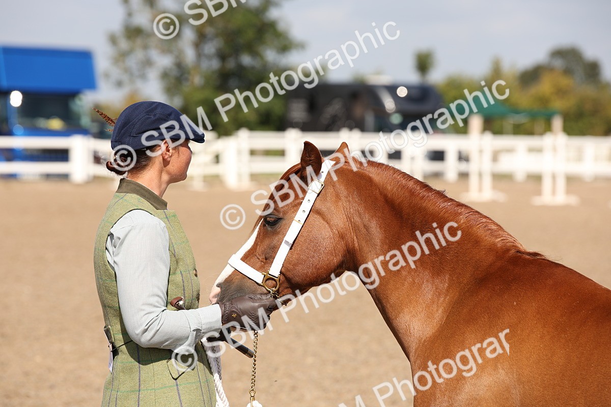 SBM_02806 - Class 16 IH M&M Wildcard