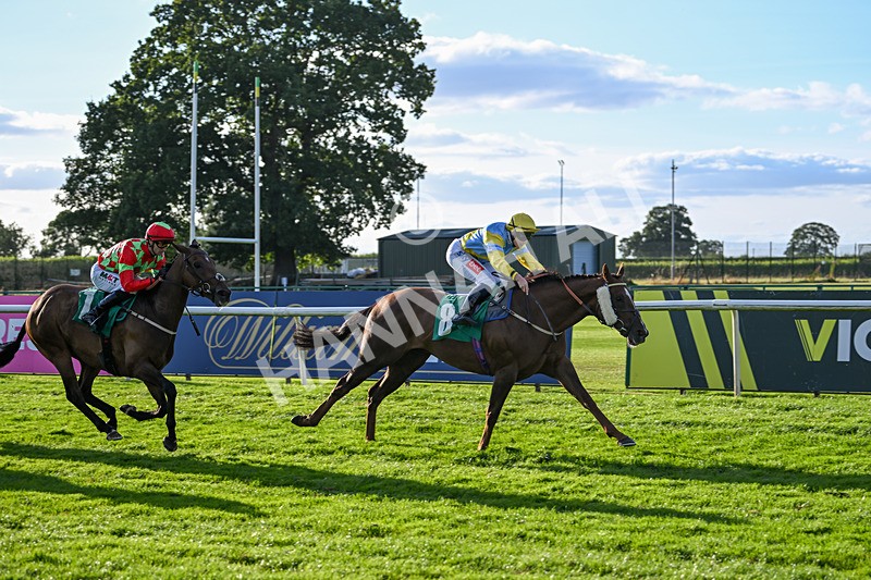 160824-Race 4-Jamih-9347 - Race 4