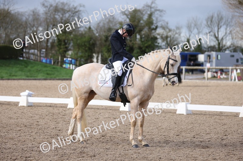 20260301-0660 - Class 4 - Novice 5