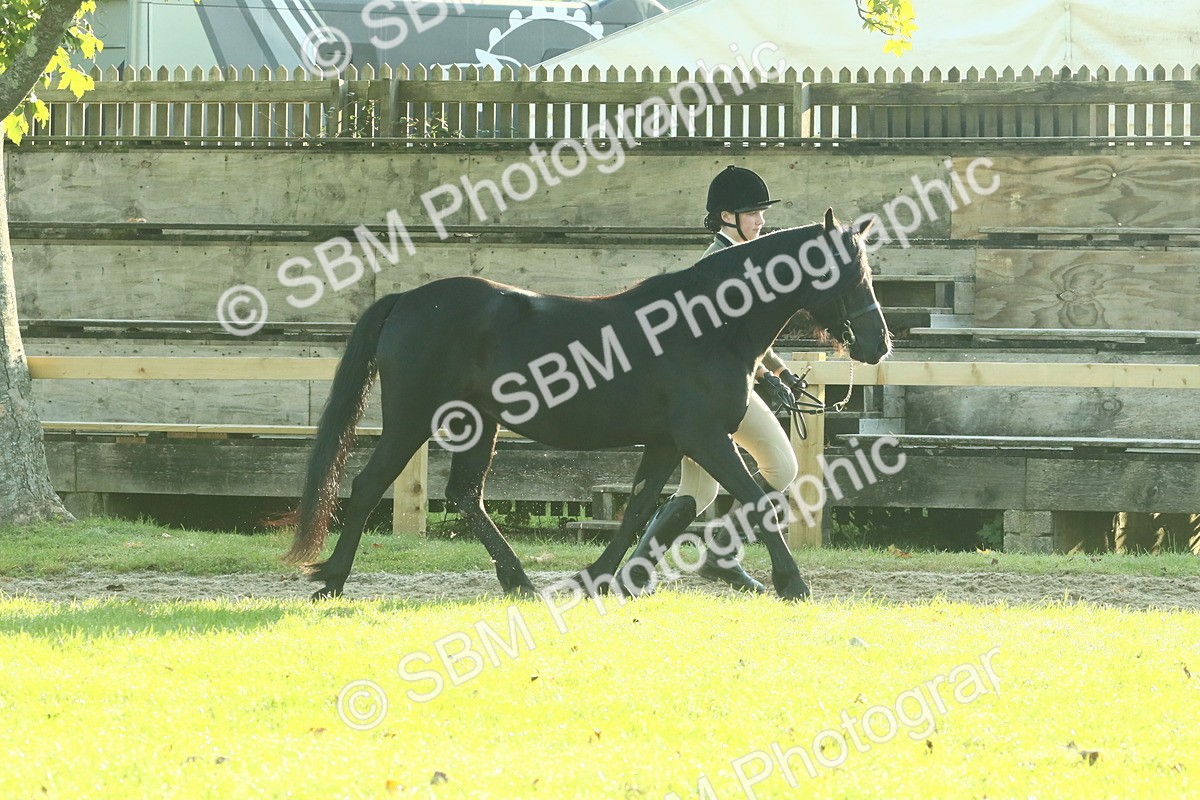 SBM_57396 - S37 - Starters In Hand Showing