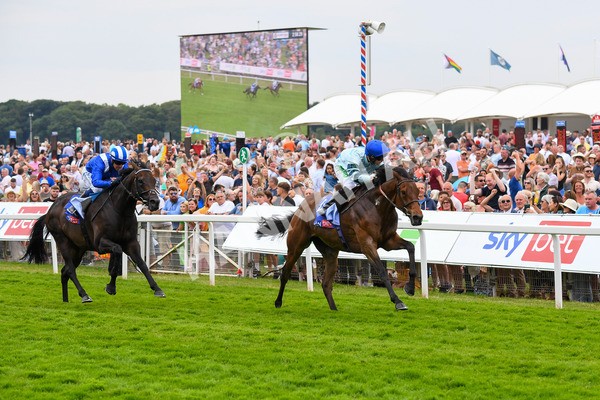 170623-Race 3-Quickthorn-0463 - Race 3 3.05pm Sky Bet Race To The Ebor Grand Cup Stakes