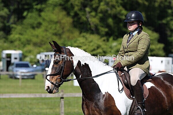 IMG_4077 - Working Hunter