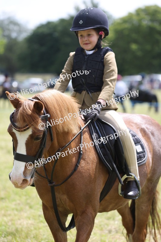 20260614-1992 - Class 21 - Novice Working Hunter Pony