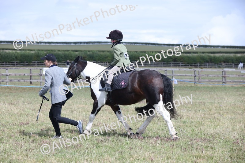 20250831-2883 - Class 18 - Childs First Pony