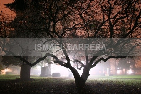 Fog in the night - Place