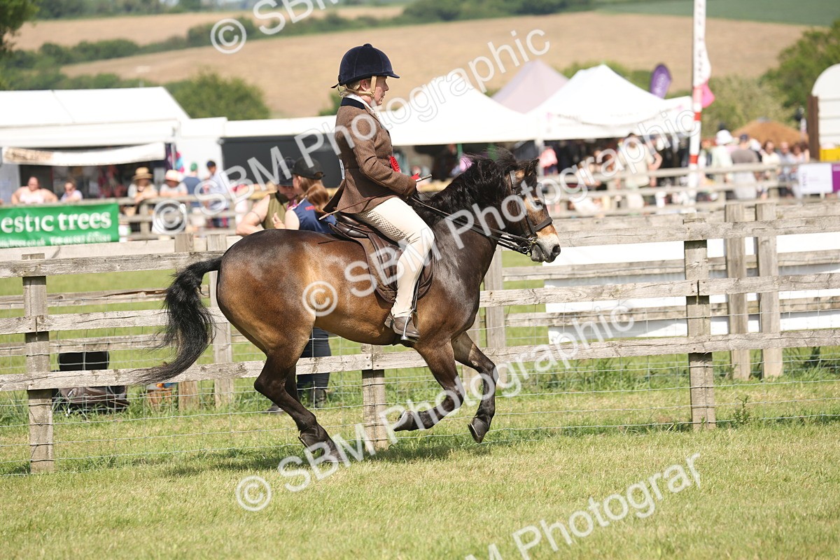 SBM_07688 - Class 26-30 - Mountain and Moorland Ridden