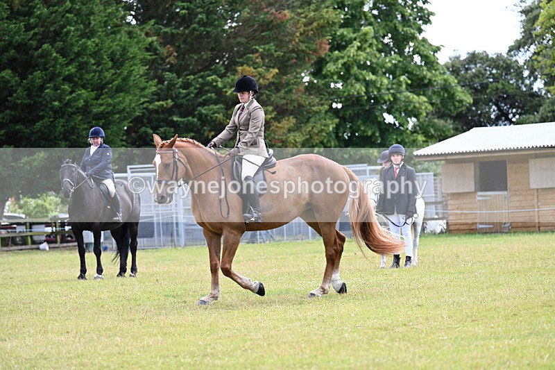 WJ7_9280 - Class 8 Ridden Veterans