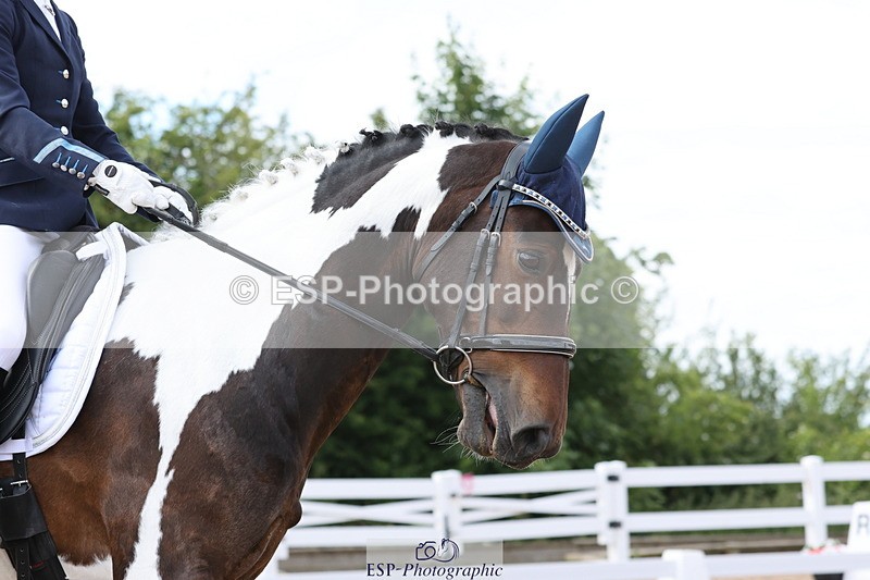 240622A-150312-13661 - Cls 33 BD Medium 73