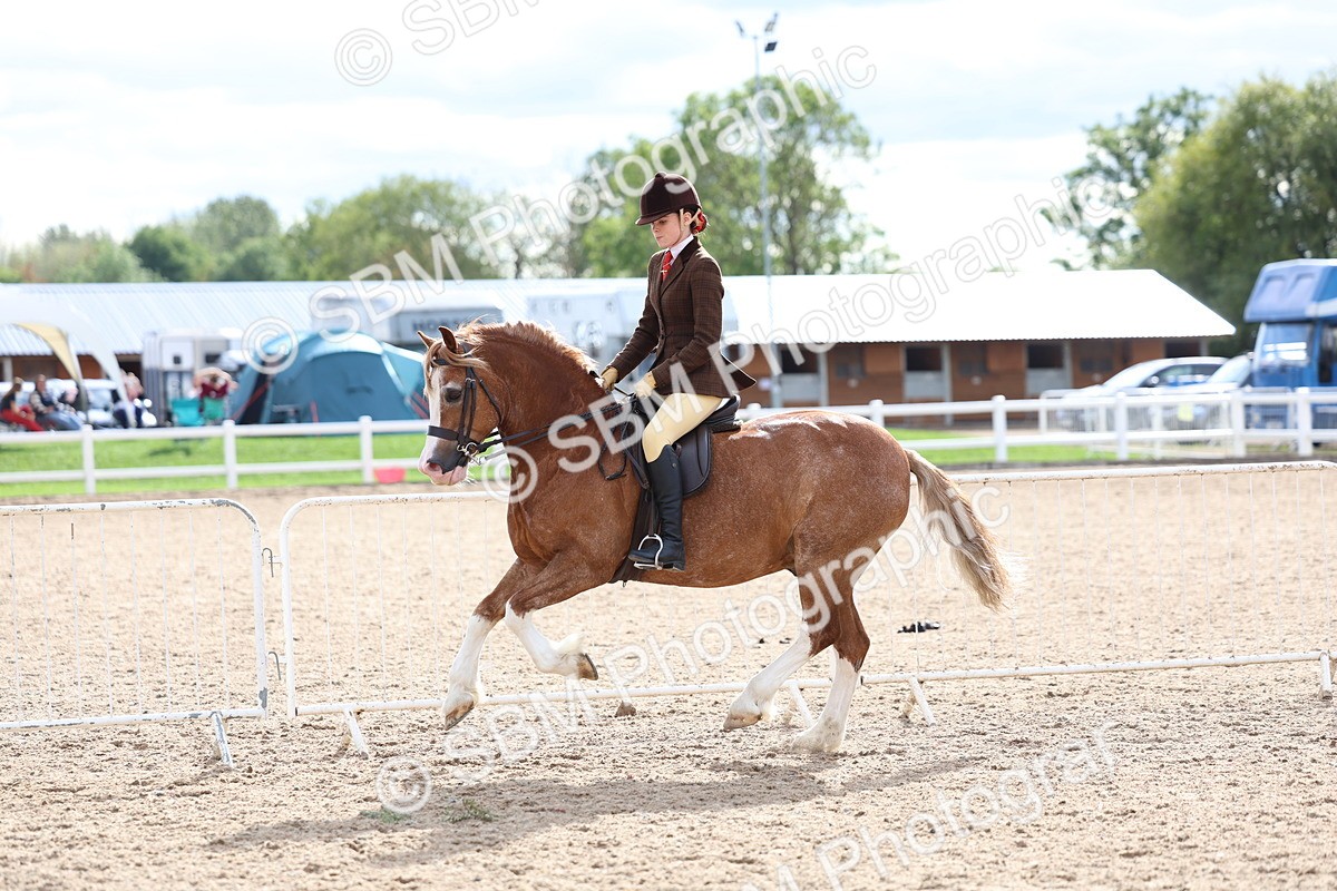 SBM_17551 - Class 316 - Best Pony - Rider Combination