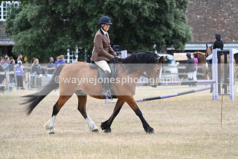 WJ7_0521 - Class 6 Ridden Mountain and Moorland