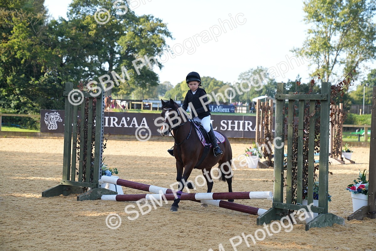 SBM_59088 - J63 - Minis Clear Round 30cm 40cm