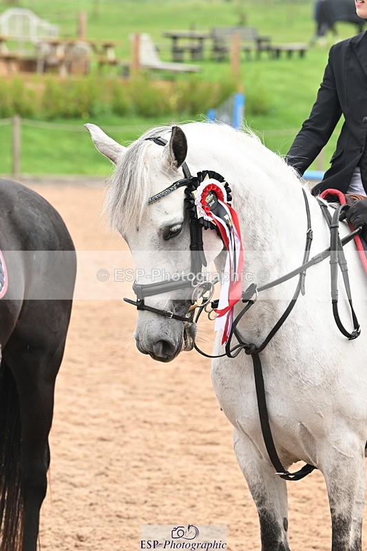240907A-115534-01091 - Cls 2 Pony Small Team 70cm & 80cm