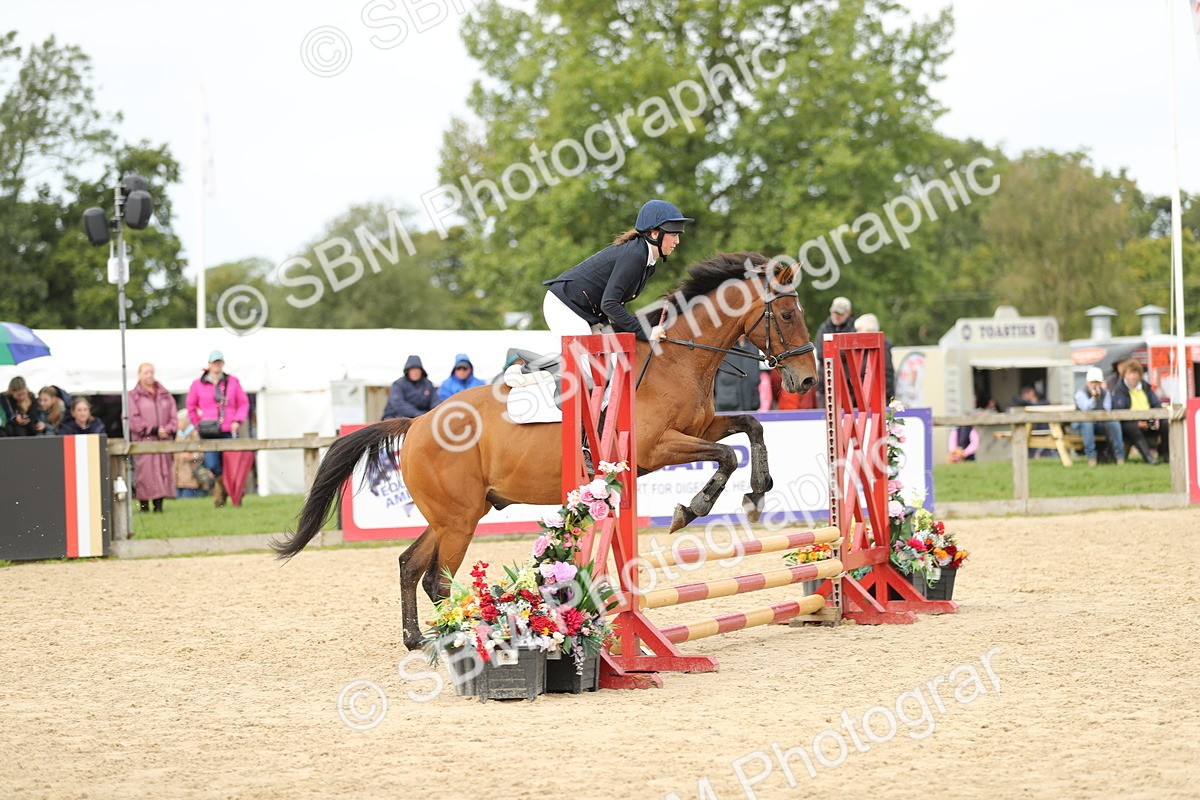 SBM_40440 - J21 - Junior Horse 60cm Championship