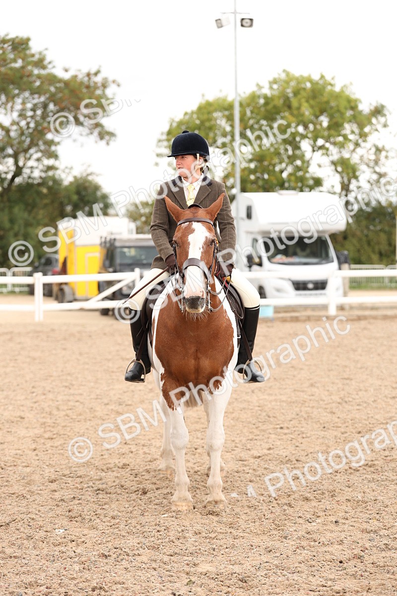 SBM_19604 - Class 215 - Ridden Show cob