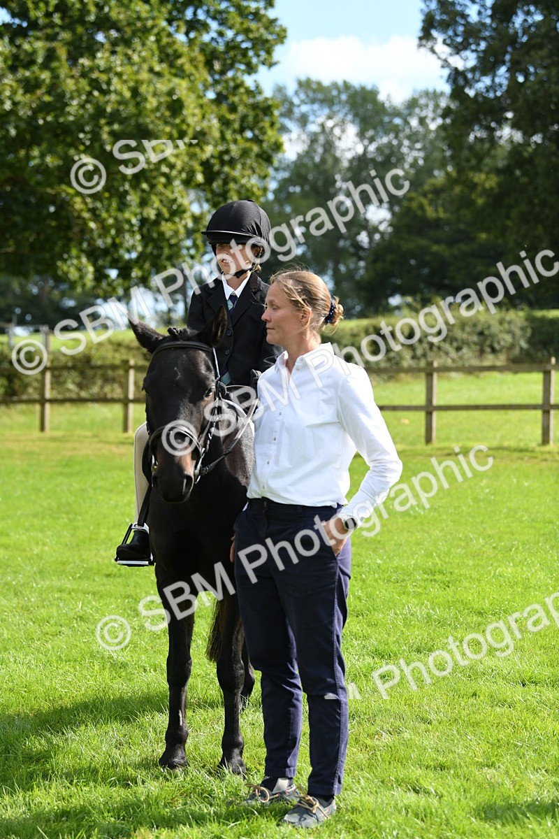 SBM_47042 - S12 - Family Horse & Pony