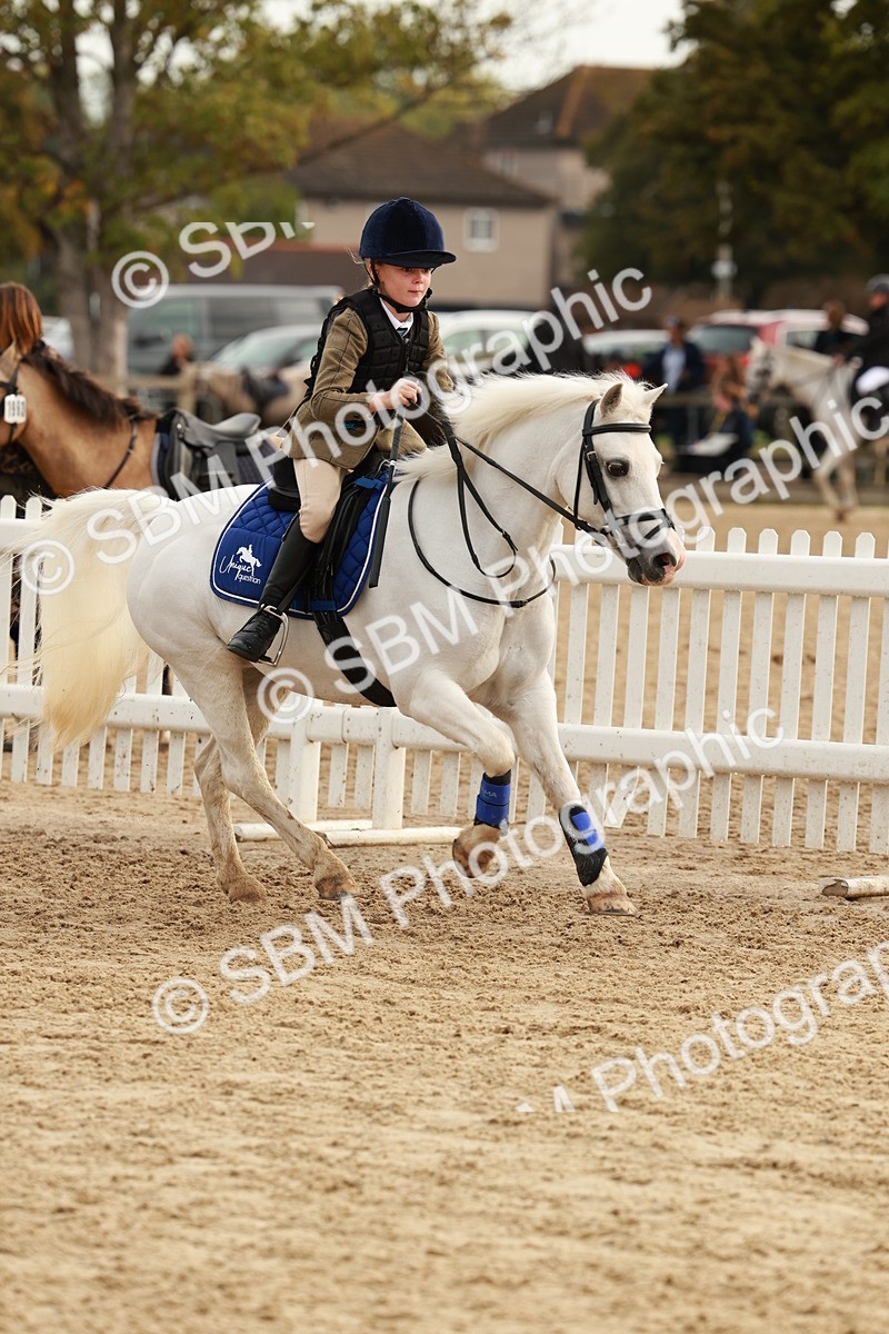 SBM_55789 - J11 - Junior Pony 50cm Championship