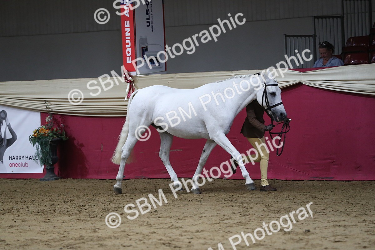 SBM_05018 - Class 8R- Regional -IH Veteran