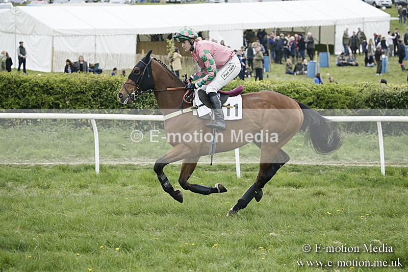 PtP 170417 496 - Old Berks Point-to-Point Lockinge 17/04/17