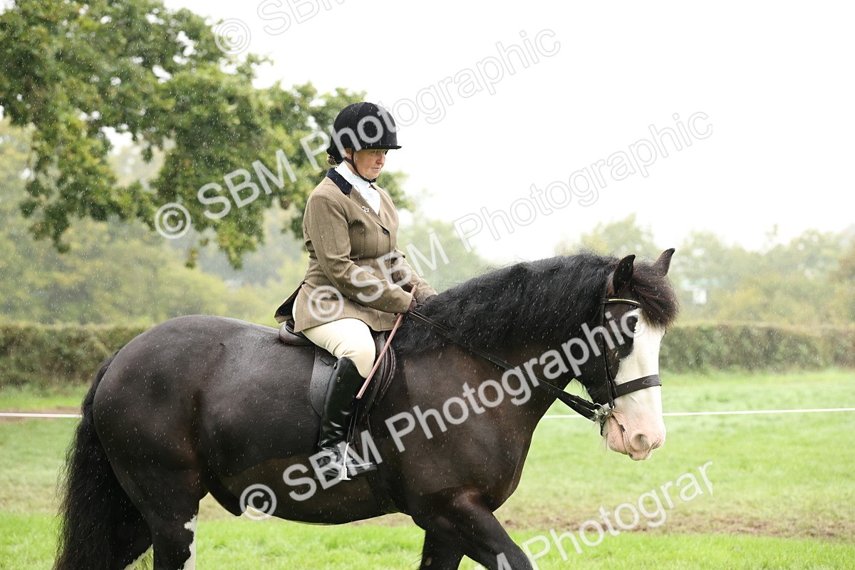 SBM_69775 - S69 - Show Cob Ridden