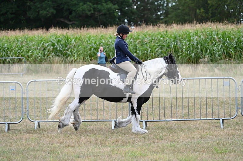 WJ7_5345 - Class 12 Ridden Cob