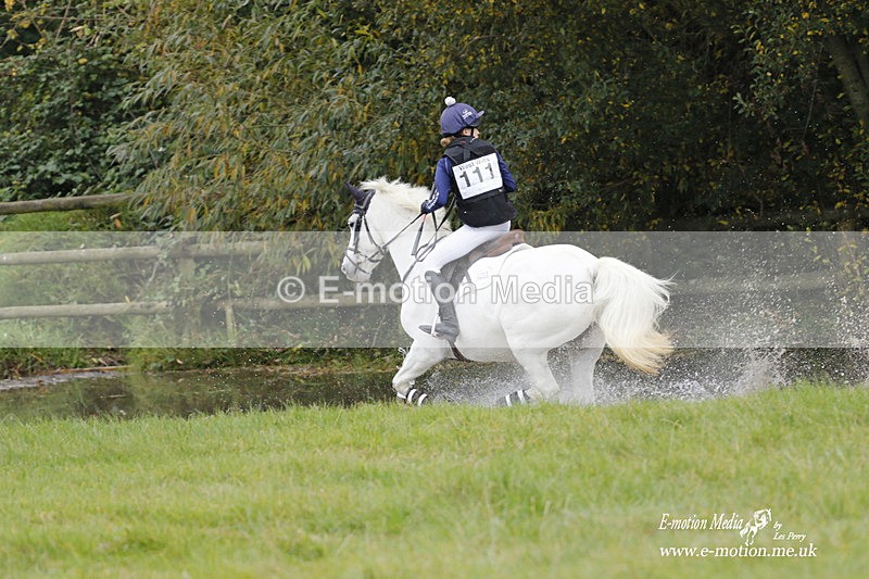  WWHT 171021 2158 - Novice Pairs (0.80m)  17/10/21