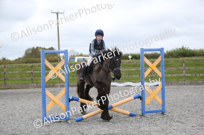 20260412-0600 - Show Jumping