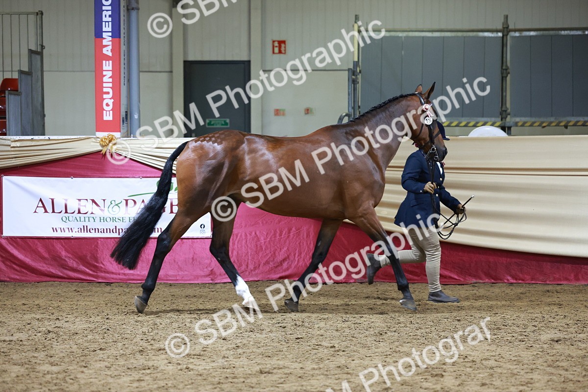 SBM_20321 - Class E - Best Turned Out Champ