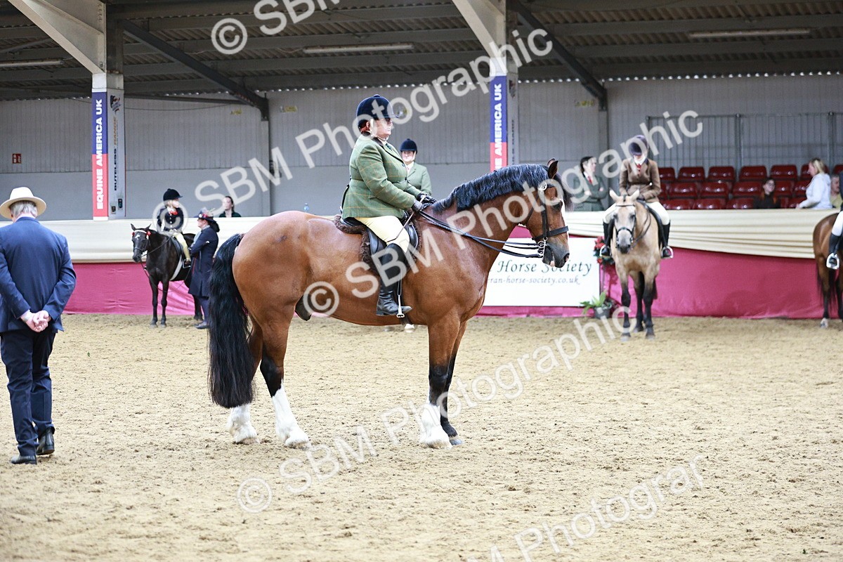 SBM_03608 - Class 6A Area Ridden Pre-Vet