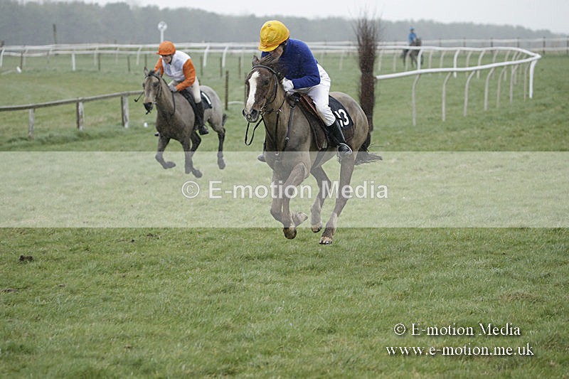 PtP 150320 0083 - New Forest Point-to-Point Larkhill 15/03/20