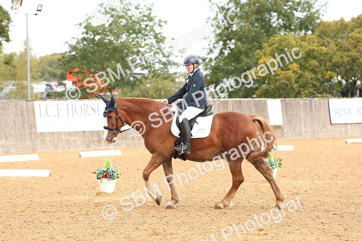 SBM_40627 - D6 - Small Tour Championship Intro 4