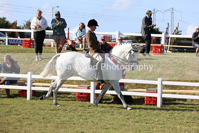 3E7A4254 - Supreme Championship