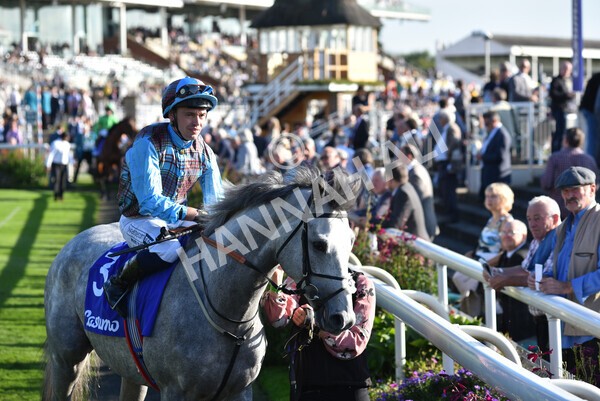 yr08102021r4-15 - Race 4 3.50pm Casumo Dare To be Different Handicap