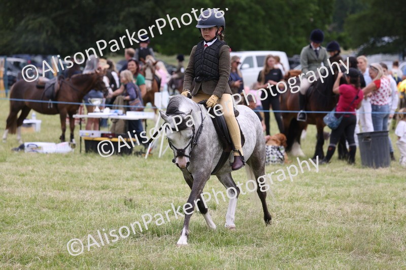 20260614-3135 - Class 22 - Open Working Hunter