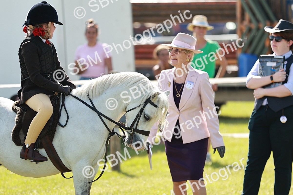 SBM_12616 - Class 106-107 - BSPS LIHS Working Sports Pony