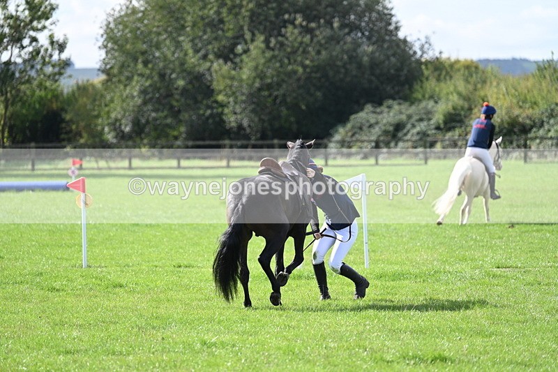 WJ7_8552 - 60cm Pairs