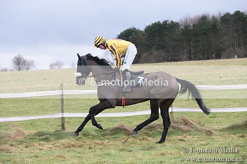 PtP 230119 141 - Royal Artillery Point-to-Point  - Larkhill  - 26/01/19
